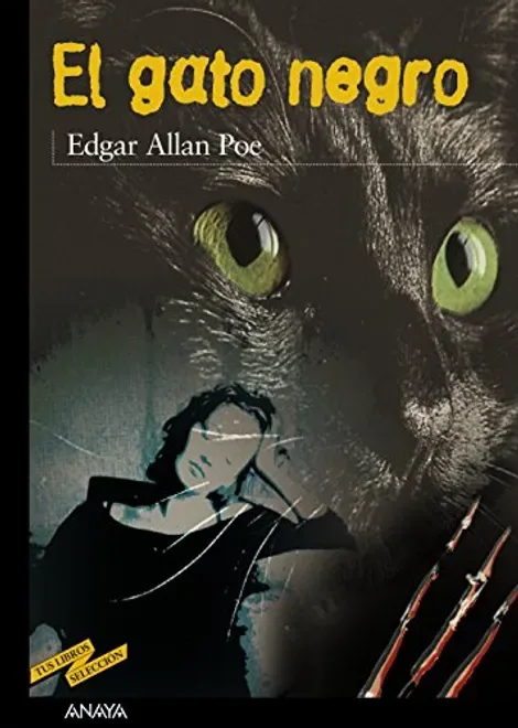 Portada de El gato negro