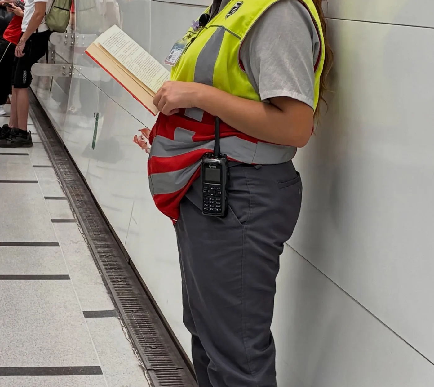 Alguien leyendo Heist en Estación Plaza Egaña